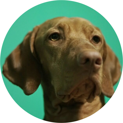 Mark Hense avatar