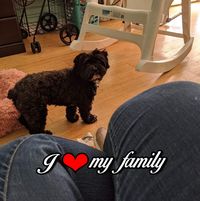 Debora Strickler's profile image