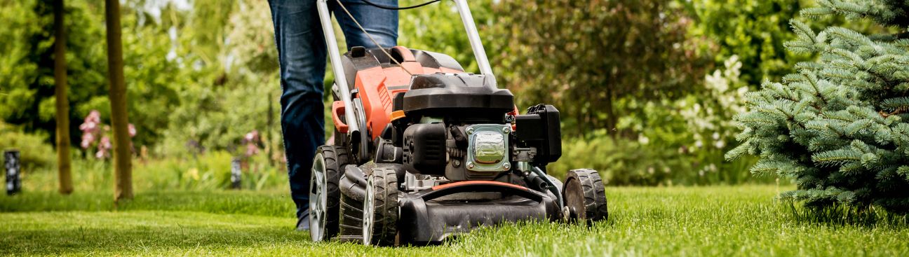 Minneapolis Commercial Lawn and Snow's cover image