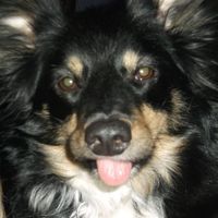 Janet Thornburg Hess's profile image