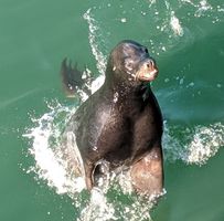 Mike Trompower's profile image