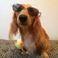 Kyle Shubeck's profile image