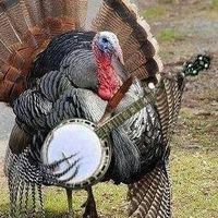 Jesse Cross's profile image