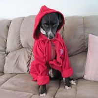 Diane Richard's profile image