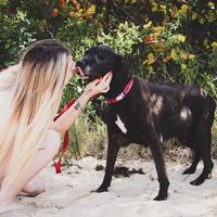 Meagan Johnson's profile image