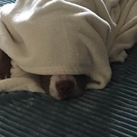 George Seeley's profile image