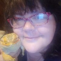 Ashley R. Mitchell's profile image