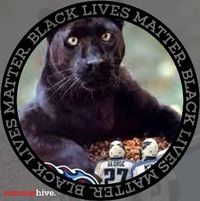 Shawn Wilkerson's profile image