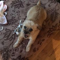 Jeff Hoctor's profile image
