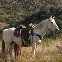 Trish Franks's profile image