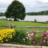 Elaine Dalton's profile image