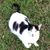 Greedy Sue's profile image