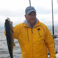 John Painter's profile image