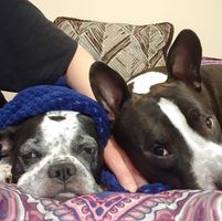 Lorie Rankin's profile image
