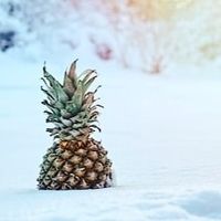 Nina Wilde's profile image