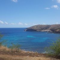 Tami Riley-Tregoning's profile image