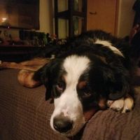 Shannon Parrett's profile image