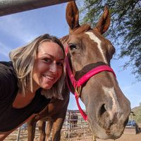 Chrissy Villacis's profile image