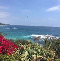 Michael Lucero's profile image