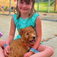 Emily Callendar's profile image