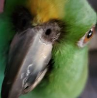 Kimberly Shell's profile image