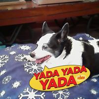 Jana Walton's profile image