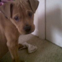 Tina Weber's profile image