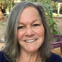 Ann Geierman's profile image