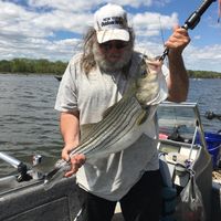 Bill Groesbeck's profile image
