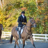 Jamie Barry's profile image