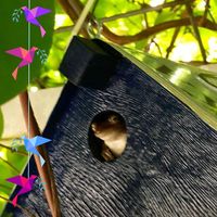 Maggie Fiest-Slusser's profile image