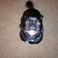 Jane Smith's profile image