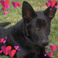 Michelle Harris Haga's profile image