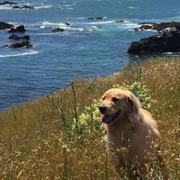Julie Doyle Sayre's profile image