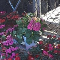 Sandra Fuller's profile image