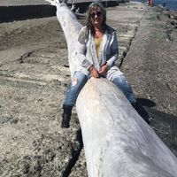 Debbie Shuman's profile image