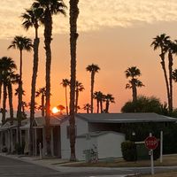 Carol Christenson's profile image