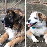 Matt Bee's profile image