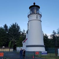 Carol Wood's profile image