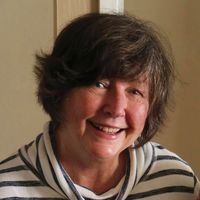 Lynn Bauer's profile image