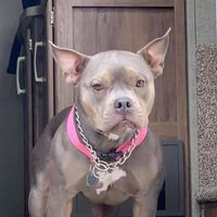 Tracey Rod's profile image