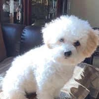 Danny Sallie Barboza's profile image