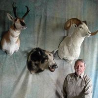 Joe Martin's profile image