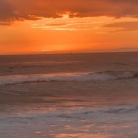 Karen Funk's profile image