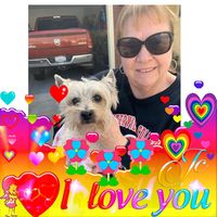 Vicky Trueblood's profile image