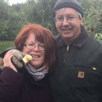 Joanne Barczi's profile image