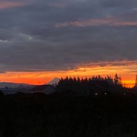 Bob Hastings's profile image