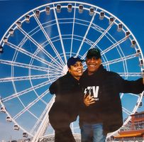 Toni Taylor's profile image