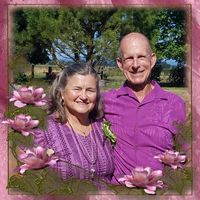 Marlis Miller's profile image