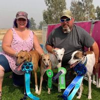 Laurel Behnke's profile image